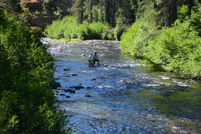 DSC_9891 (Large).JPG